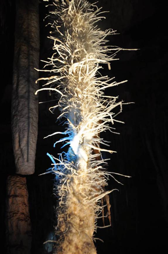 Delicadas formações de calcita na caverna de São Mateus, no P. E. de Terra Ronca, região de São Domingos - GO